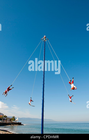 Voladores de Papantla hommes volants, sur le Malecon, Puerto Vallarta, Jalisco, Mexique, Amérique du Nord Banque D'Images