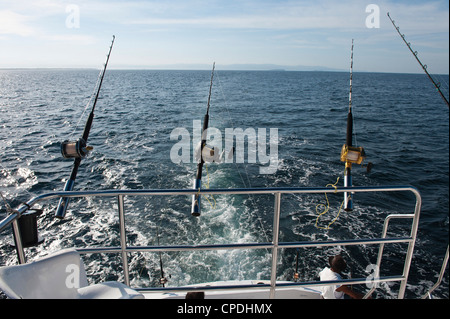 La pêche sportive, Puerto Vallarta, Jalisco, Mexique, Amérique du Nord Banque D'Images