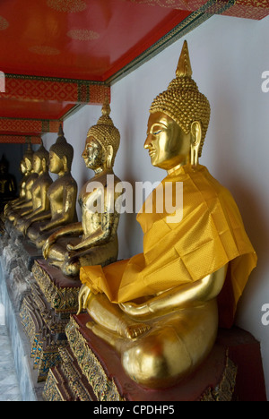 Bouddhas assis, le Wat Pho (Temple du Bouddha couché), (Wat Phra Chetuphon), Bangkok, Thaïlande, Asie du Sud-Est, Asie Banque D'Images