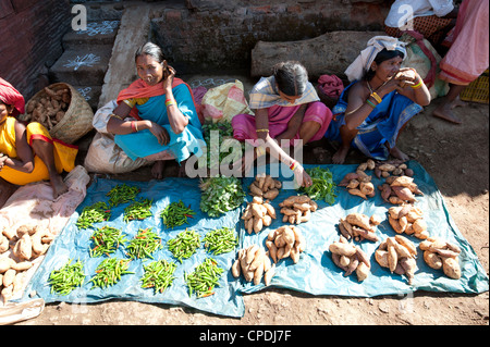 Mali vente tribeswomen chilis et patates douces au marché hebdomadaire, Rayagader, Orissa, Inde, Asie Banque D'Images