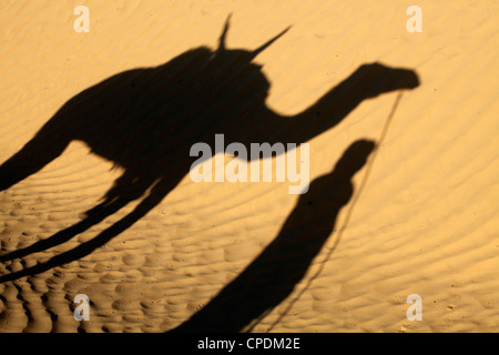 L'ombre du pilote de chameau dans le désert du Sahara, près de Douz, Kebili, Tunisie, Afrique du Nord, Afrique Banque D'Images