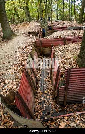 La Seconde Guerre mondiale 1 tranchées de Bois du Sanctuaire, Ypres, Belgique Banque D'Images