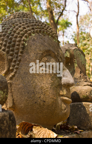 Tête de Bouddha en Wat Umong Chiangmai Banque D'Images