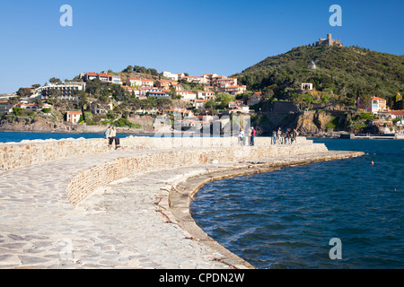 Vue d'un brise-lames dans le port de Collioure, Côte Vermeille, Languedoc-Roussillon, France, Europe Banque D'Images