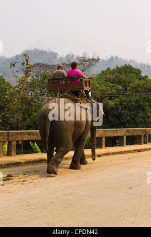 Couple riding un éléphant Banque D'Images