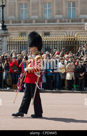 Le plomb de garde de la Coldstream Guards à l'évolution de la garde à Buckingham Palace. Londres. Banque D'Images