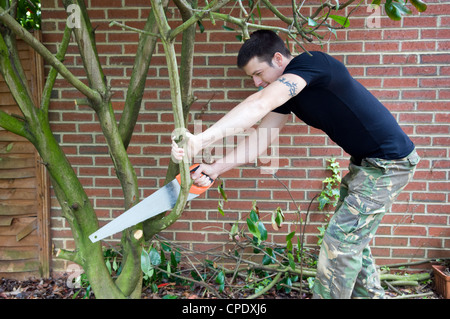 Caucasian man sciage à façon des branches d'arbre dans le jardin à Bristol, Royaume Uni Banque D'Images