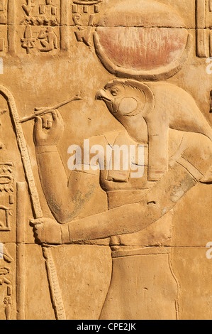 Bas-relief, Temple de Sobek et Haroeris, Kom Ombo, Egypte, Afrique du Nord, Afrique Banque D'Images