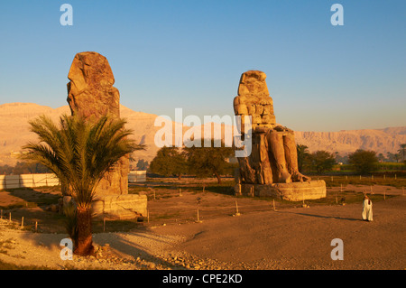 Colosses de Memnon, sculpté pour représenter la xviiième dynastie pharaon Aménophis III, rive ouest du Nil, à Thèbes, Egypte Banque D'Images