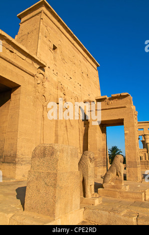 Temple de Philae, Site du patrimoine mondial de l'UNESCO, l'Île Agilkia, vallée du Nil, de la Nubie, Egypte, Afrique du Nord, Afrique Banque D'Images