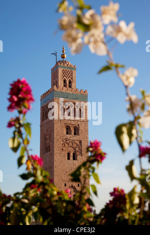 Minaret de la Koutoubia, Marrakech, Maroc, Afrique du Nord, Afrique Banque D'Images