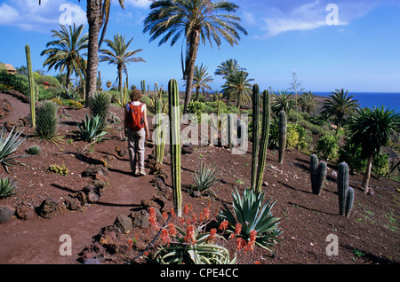 Jardin botanique de la Lajita Oasis Park,, Fuerteventura, Îles Canaries, Espagne, Europe, Atlantique Banque D'Images