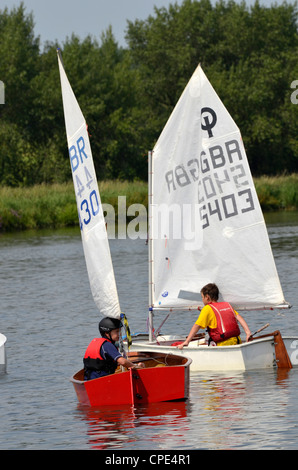 Course enfants optimist dériveurs, Banque D'Images