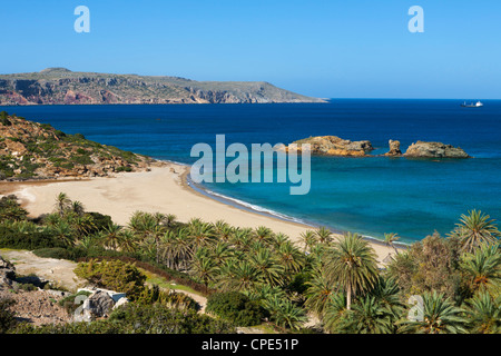 Plage de Vai, λασίθι, Crète, îles grecques, Grèce, Europe Banque D'Images