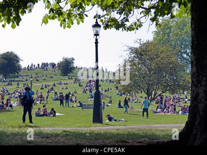 Primrose Hill London united kingdom Banque D'Images