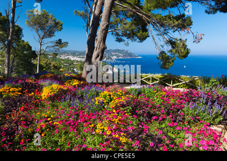 Jardin Botanique de Cap Roig, Calella de Palafrugell, Costa Brava, Catalogne, Espagne, Europe, Méditerranée Banque D'Images