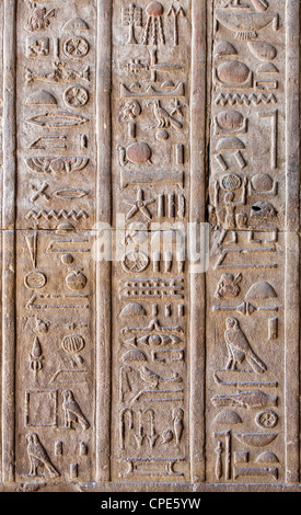L'intérieur de la décharge hiéroglyphique Temple d'Horus, Edfou, Egypte, Afrique du Nord, Afrique Banque D'Images