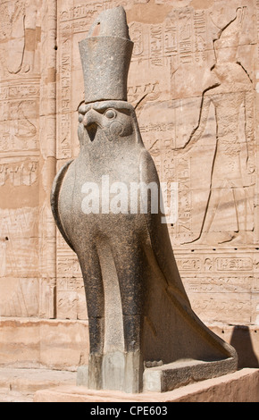 Falcon granit figure du dieu Horus au temple d'Edfou, Egypte, Afrique du Nord, Afrique Banque D'Images