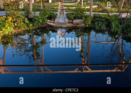 Jardin avec l'eau de rill de jardin caractéristique en pierre au printemps et plantation d'eau marginal plantes Royaume-Uni Banque D'Images