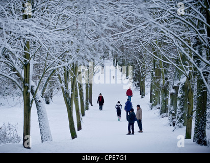 Hampstead Heath en hiver, au nord de Londres, Angleterre, Royaume-Uni, Europe Banque D'Images