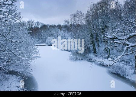 Hampstead Heath en hiver, au nord de Londres, Angleterre, Royaume-Uni, Europe Banque D'Images