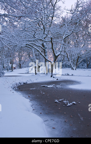 Hampstead Heath en hiver, au nord de Londres, Angleterre, Royaume-Uni, Europe Banque D'Images