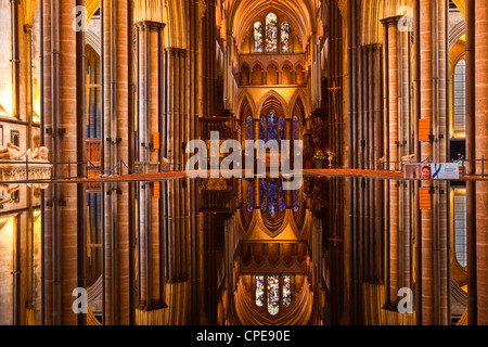 La belle nef et font de la cathédrale de Salisbury, Wiltshire, Angleterre, Royaume-Uni, Europe Banque D'Images