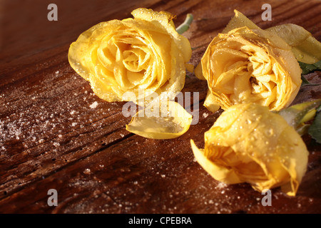 Roses jaunes congelés sur une table en bois rustique Banque D'Images