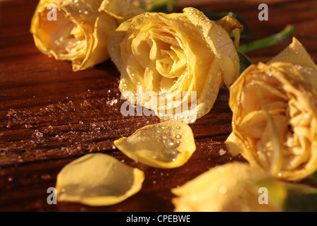 Roses jaunes congelés sur une table en bois rustique Banque D'Images