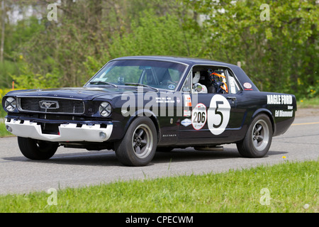 MUTSCHELLEN, SUISSE - 29 Avril : Course Vintage touring car Ford Mustang à partir de 1965 au Grand Prix de Mutschellen, SUI Le 29 avril Banque D'Images