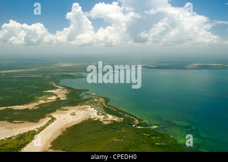 Les mangroves le long de la côte de la Parc National des Quirimbas au Mozambique. Banque D'Images