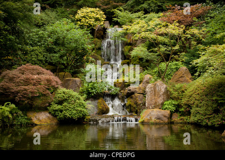 Cascade au jardin japonais de Portland. Banque D'Images