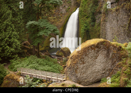 Wahclella Falls. Columbia River Gorge, Oregon. Banque D'Images
