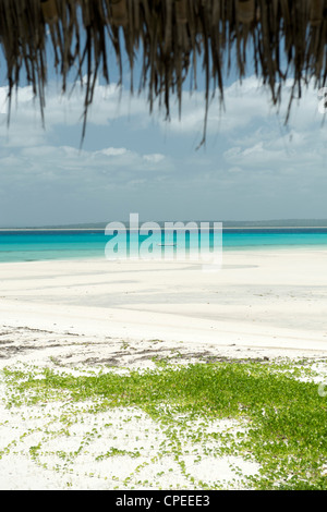 Sur la plage et la mer à l'île de Matemo lodge sur Matemo dans l'archipel des Quirimbas, au Mozambique. Banque D'Images