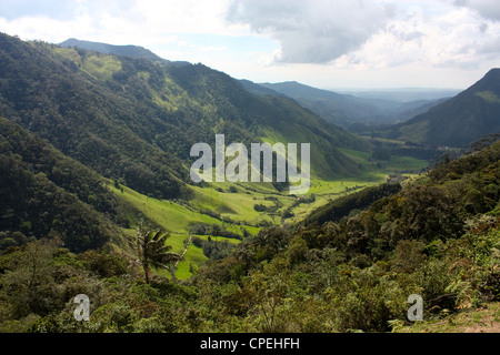 La vallée de Cocora, la passerelle de Parque Nacional natural de los Nevados. Communauté andine Colombie Banque D'Images