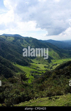 La vallée de Cocora, la passerelle de Parque Nacional natural de los Nevados. Communauté andine Colombie Banque D'Images