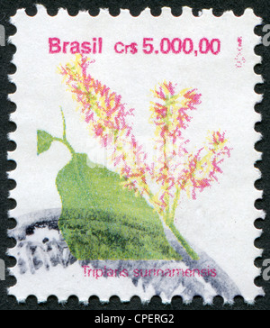 Brésil - circa 1989 : timbres-poste imprimés en Brésil, montre une fleur Triplaris surinamensis (Tachi), vers 1989 Banque D'Images