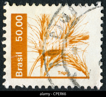 Brésil - circa 1979 : timbres-poste imprimés en Brésil, dépeint les épis de blé, vers 1979 Banque D'Images