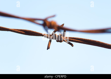 Rusty barbwire noueux Banque D'Images