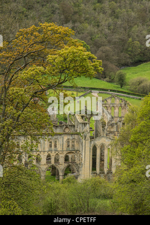 L'abbaye de Rievaulx, Yorkshire, Angleterre - Abbaye monastique médiévale célèbre pour son réglage. Banque D'Images