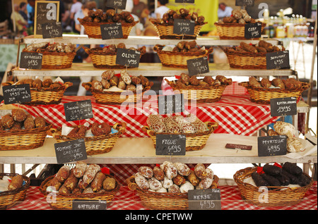 Le Français saucisses sèches (Saucisson), sélection de magasin à Sarlat, Dordogne, France Banque D'Images