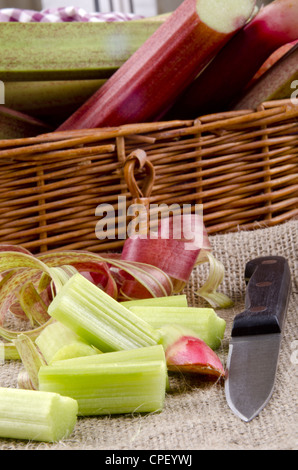 La rhubarbe bio fraîchement coupées du jardin Banque D'Images