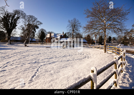 Le cheval noir, pub, Château en hausse, King's Lynn, Norfolk, Royaume-uni le jour d'hiver clair avec des moutons à se nourrir dans l'avant-plan Banque D'Images