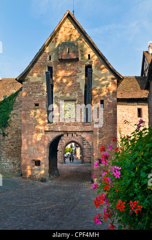 Entrée voûtée médiévale en pierre d'un village historique de Riquewihr sur la Route des Vins Alsace France Banque D'Images
