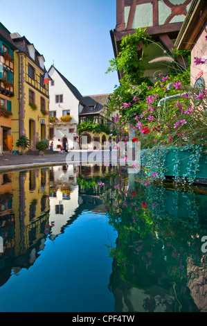 Fontaine d'eau florale dans le centre de Riquewihr Hugel avec caveau de dégustation en arrière-plan Alsace France Banque D'Images