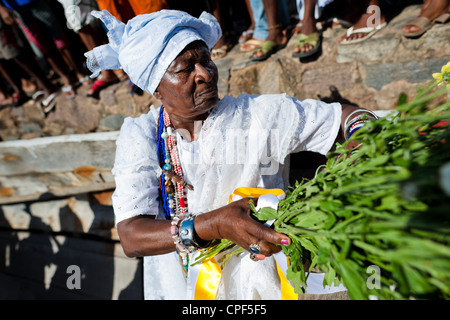 Une femme Baiana tient des herbes médicinales pendant la cérémonie rituelle en l'honneur de Yemanjá à Cachoeira, Bahia, Brésil. Banque D'Images