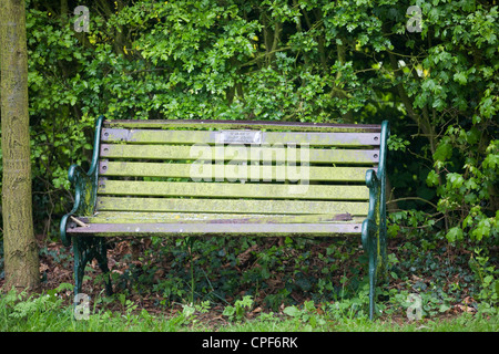 Banc de jardin à côté de hedge Banque D'Images