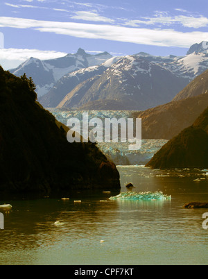 Alaska fjord Tracy Arm Banque D'Images