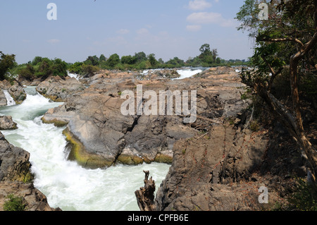 Les pièges de la pêche dans la rivière du Mékong Cascades Phapheng Khong Champassak Province Sud du Laos Banque D'Images