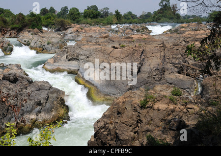 Les pièges de la pêche dans la rivière du Mékong Cascades Phapheng Khong Champassak Province Sud du Laos Banque D'Images